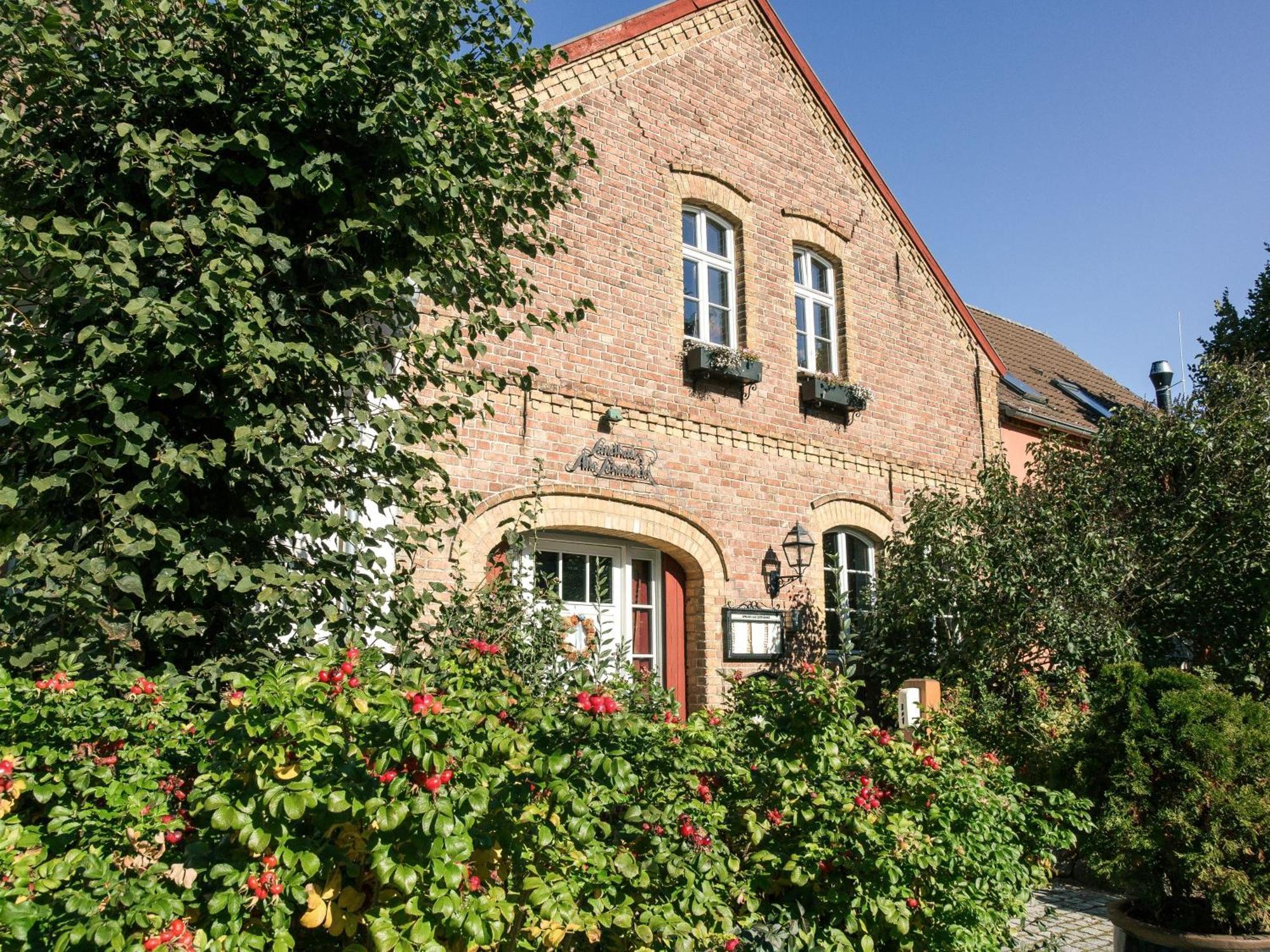 Landhaus Alte Schmiede Niemegk  ภายนอก รูปภาพ