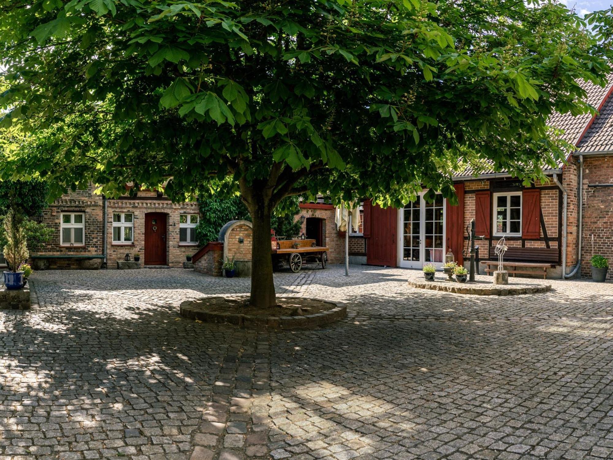 Landhaus Alte Schmiede Niemegk  ภายนอก รูปภาพ