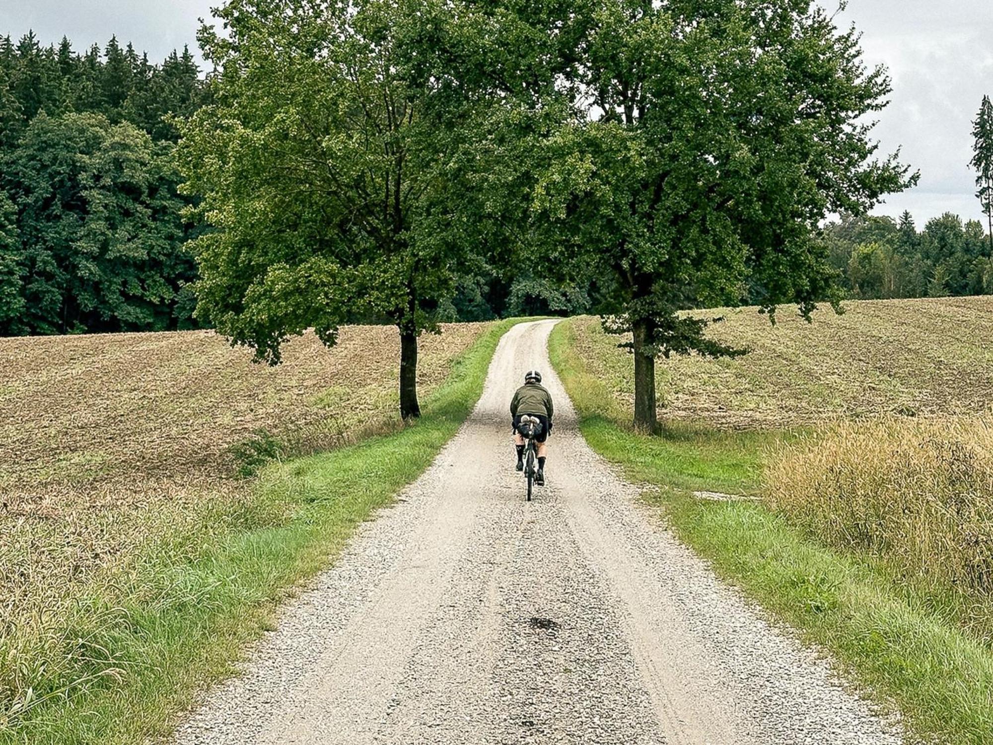 Landhaus Alte Schmiede Niemegk  ภายนอก รูปภาพ